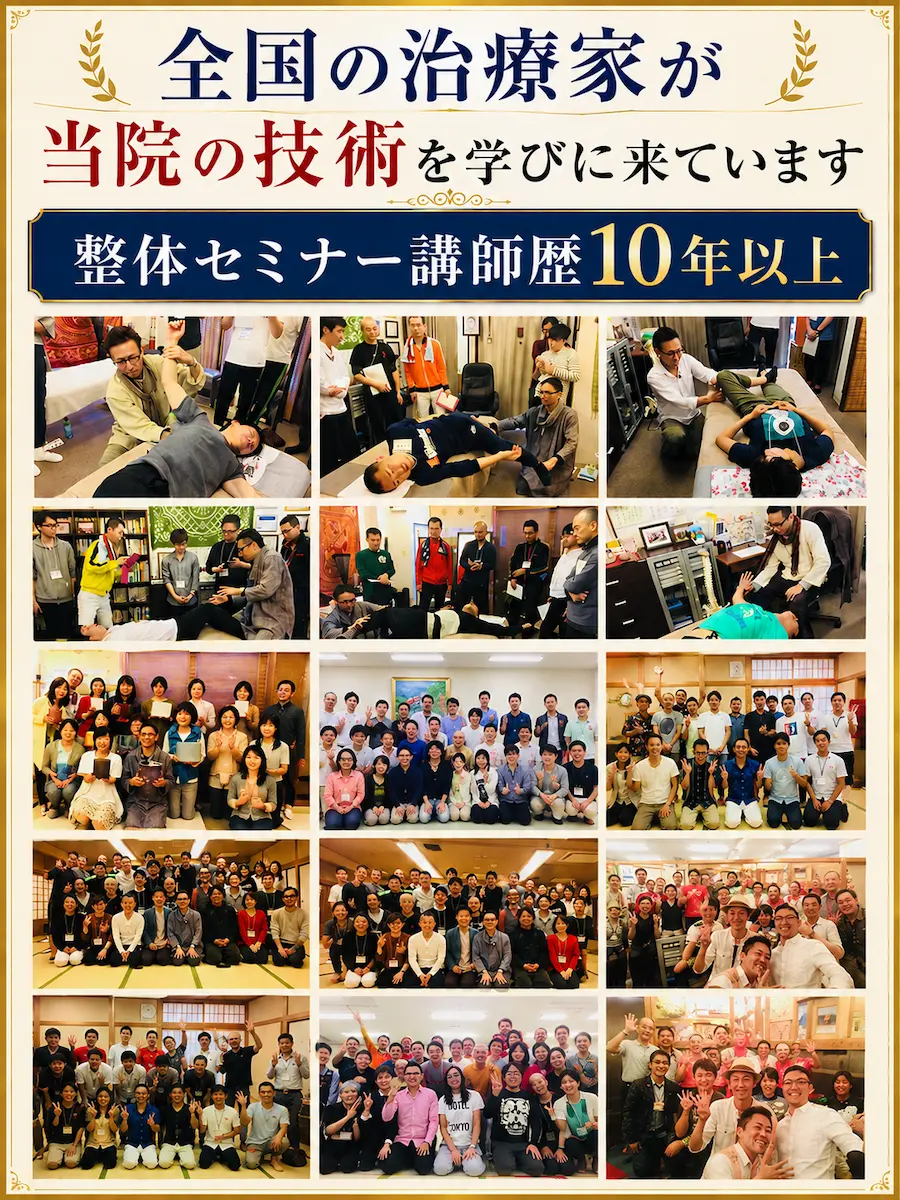 整体セミナー講師歴10年以上